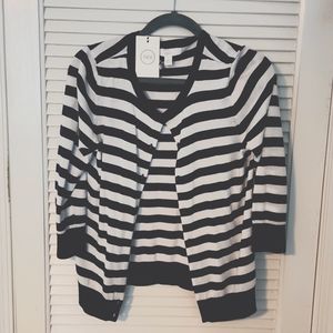 Striped Sweater Navy & White